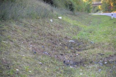 UPDATE! Neue Tagbilder! 2 Kinder und 2 Erwachsene sterben nach schwerem Frontalcrash bei Bad Rappenau